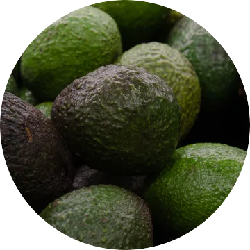 Avocado